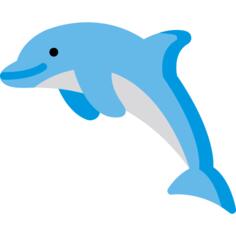 海豚