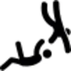 Two Men Practicing Karate