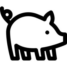 Pork