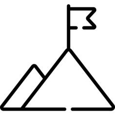 任务