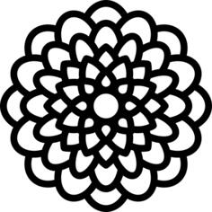 大丽花