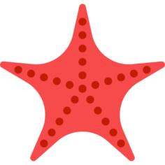 海星