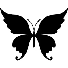 蝴蝶美丽的形状