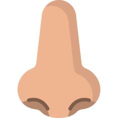Nose