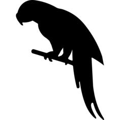 Parrot shape