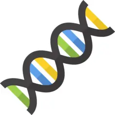 Dna