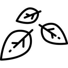 树叶