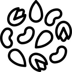 坚果