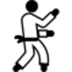 Karate fighter