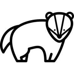 獾