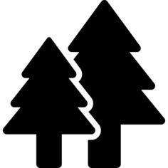 Forest View