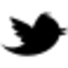twitter logo