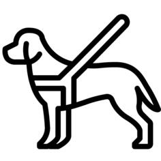 导盲犬
