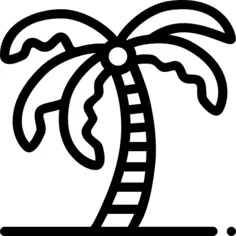 棕榈树