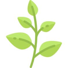 草本植物