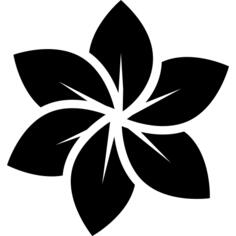 大花