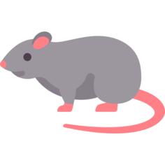 鼠