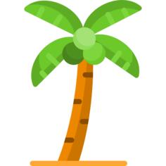 Coconut tree