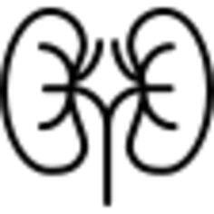 Kidney