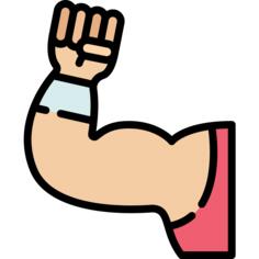 Muscle