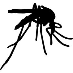 Mosquito