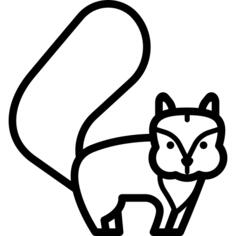 松鼠