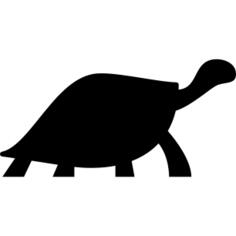 Turtle Facing Right