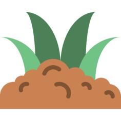 Grass