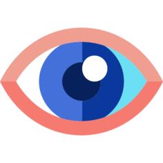 眼睛
