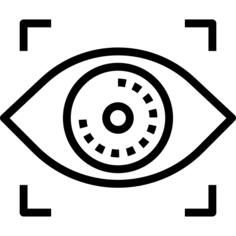 Biometric recognition