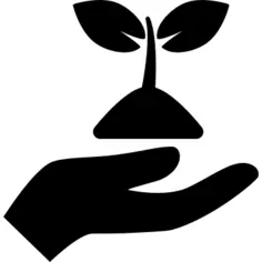 Hand holding up a sprout