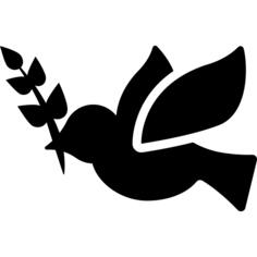 Peace Dove