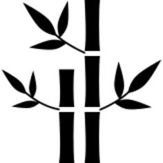 Bamboo plants of spa