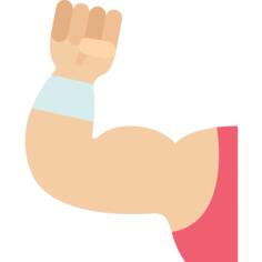 Muscle