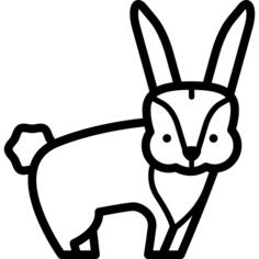 兔子