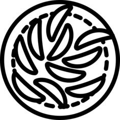 土豆