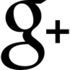 Google加社交标识