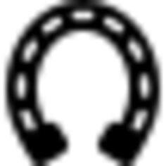 Horseshoe variant with long holes