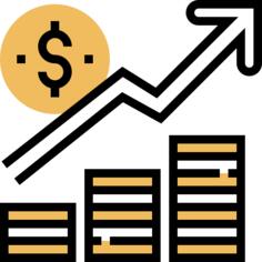 Income