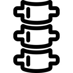 Spine