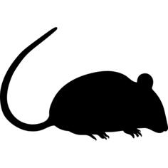 Rat silhouette