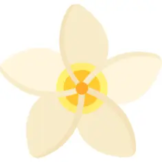 茉莉花