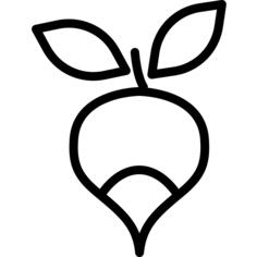 Radish