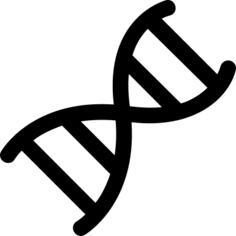 DNA chromosome