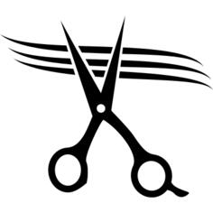 Scissors cutting hair