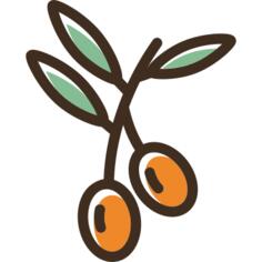 橄榄
