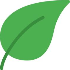 Leaf