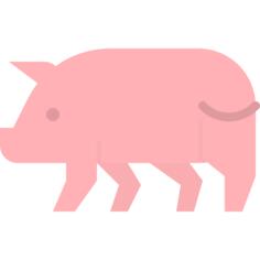 Pork