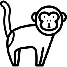 猴