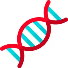 Dna